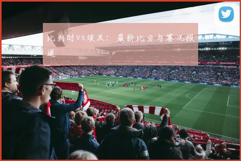 比利时vs埃及:最新比分与赛况报道